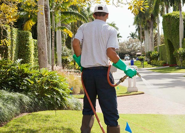 About Cutler OH Pest Control